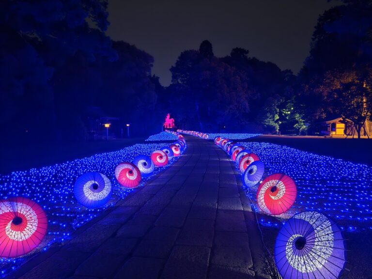 【和傘の杜～彩の七夕2026～】今年の七夕は、大宮・氷川神社へ！